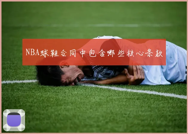 NBA球鞋合同中包含哪些核心条款