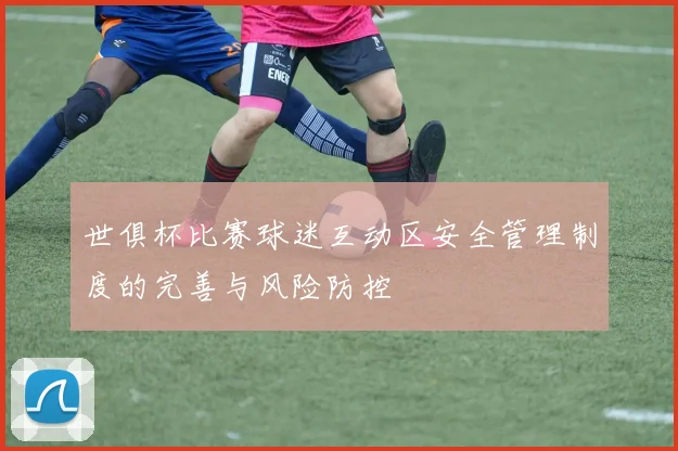 世俱杯比赛球迷互动区安全管理制度的完善与风险防控