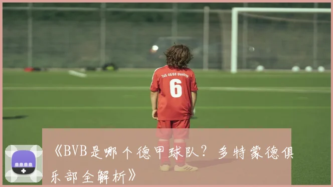 《BVB是哪个德甲球队？多特蒙德俱乐部全解析》