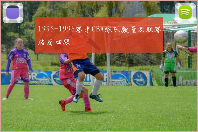 1995-1996赛季CBA球队数量及联赛格局回顾